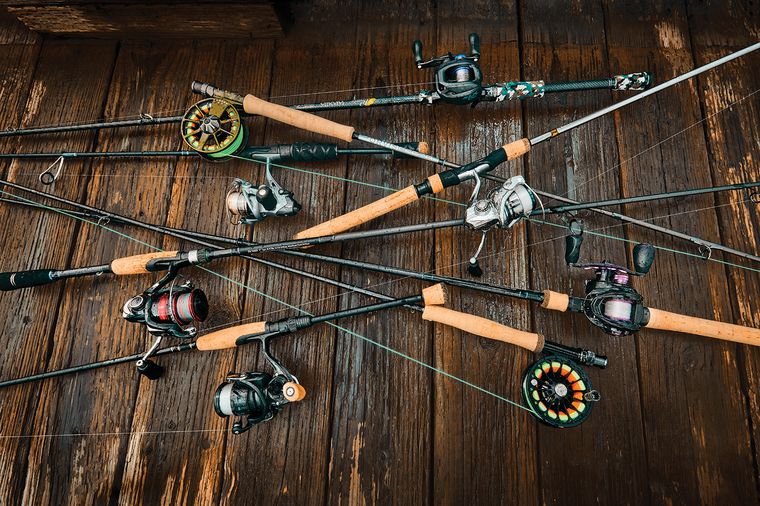 fishing rod and reel online shopping