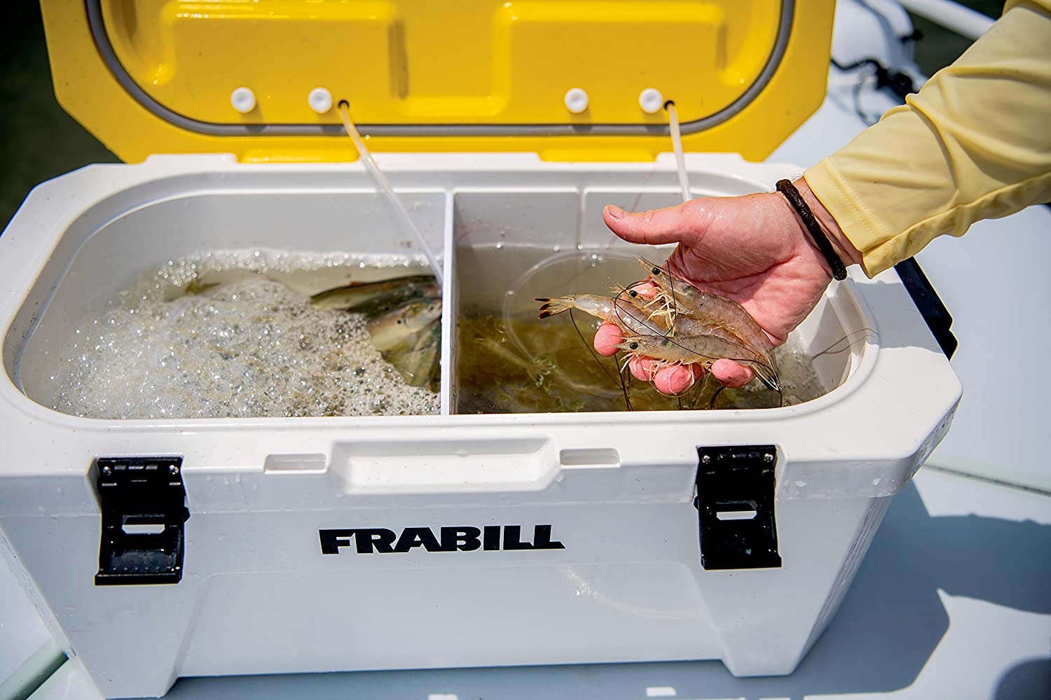 FRABILL® MAGNUM BAIT STATIONS – Moxy's Bait & Tackle